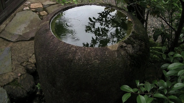 Water Barrel in the Rain